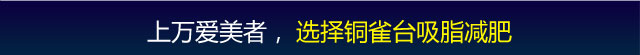铜雀台案例